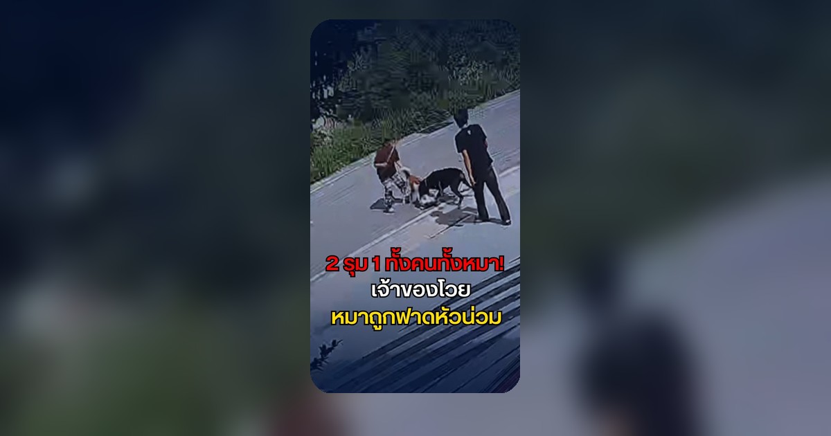 ระอุข้างบ้าน! ป้ารุมตีหมา 33 ครั้งจนหัวแตก อ้างเพ้อโดน “ร้านน้ำ” แย่งลูกค้า สุดท้ายโป๊ะเป็นอู่ซ่อมรถ