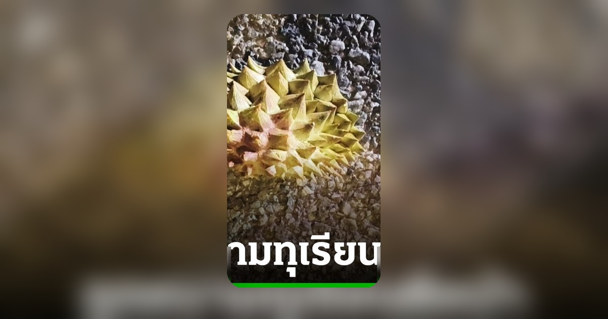 หญิงวัย 48 ออกกำลังกายจู่ๆ เจอวัยรุ่น 2 คนรุมทำร้าย ใช้ทุเรียนฟาดหน้าจนเลือดอาบ