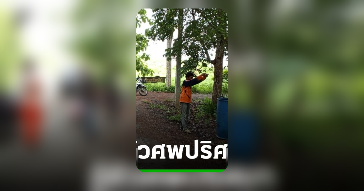 พบศพสาวผมแดงปริศนาในถังขยะระยอง อายุ 17 ปี ตำรวจเร่งคลี่คลายคดี