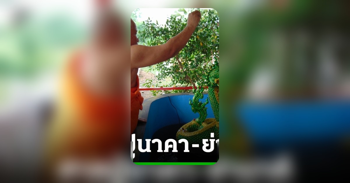 วัดพระปรางค์สร้างศาลปู่นาคาย่านาคี หลังหลวงปู่ศิลาทัก คอหวยแห่ขอเลขเด็ด