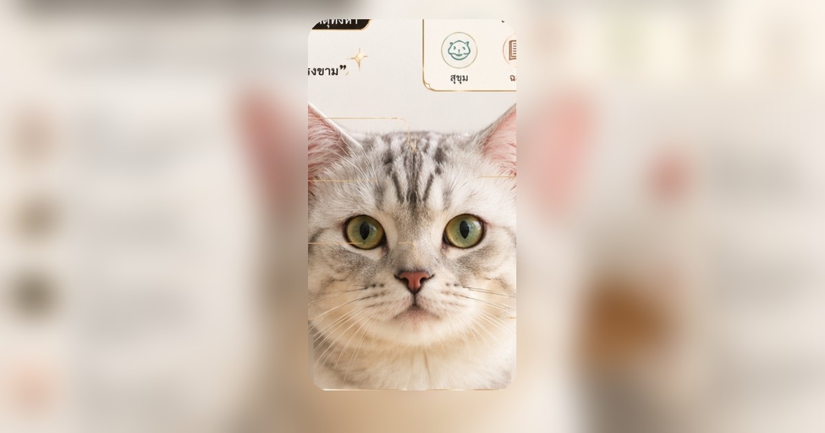 ChatGPT วิเคราะห์โหงวเฮ้งทำนายดวงชะตาและธาตุทั้ง 5 ได้จริงหรือไม่