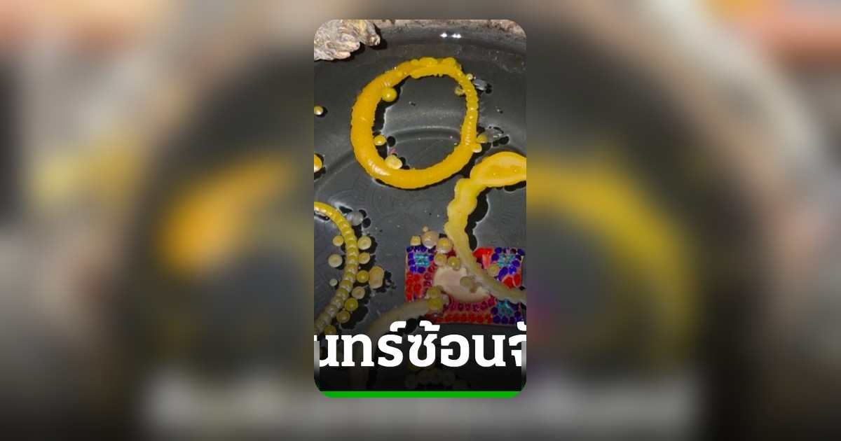 สายมูแห่ส่อง 'เลขเด็ด' ขันน้ำมนต์พ่อจ้ำคำชะโนด ลุ้นโชคใหญ่ 1 ก.ค. 69