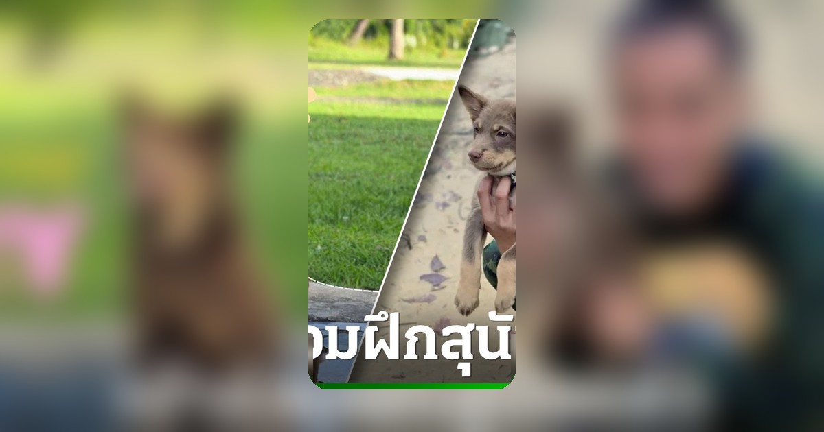 กำลังใจท่วมท้น "น้องมะลิ" สุนัขคู่ใจจ่ามิน เข้ารั้วบ้านทหารการสัตว์