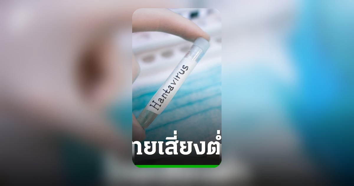 หมอยง ชี้แจงไวรัสฮันตาในไทยคนละสายพันธุ์กับที่ระบาด ย้ำความเสี่ยงต่ำมาก