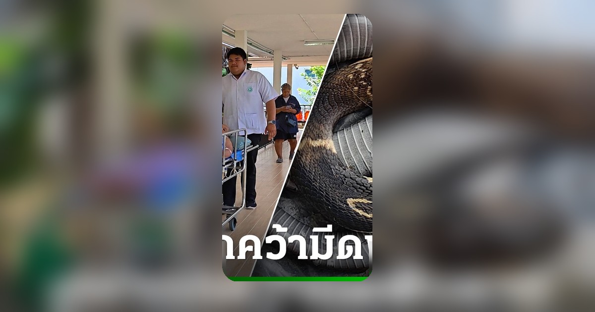 ป้าวัย 69 ใจเด็ด งูเห่าเลื้อยฉกมือ คว้ามีดฟันไม่ยั้งจนตาย หิ้วซากให้หมอฉีดเซรุ่ม