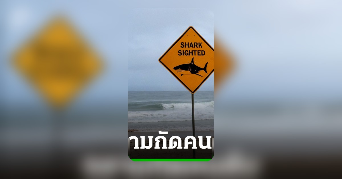 ดับสลด! หนุ่มออสเตรเลียถูกฉลามยาว 4.5 เมตรกัดตาย ขณะดำน้ำยิงปลา