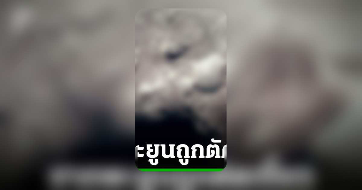 พบซากพะยูนสมบูรณ์ที่กระบี่ ถูกตัดเขี้ยว โทษสูงคุก 15 ปี ปรับ 1.5 ล้าน