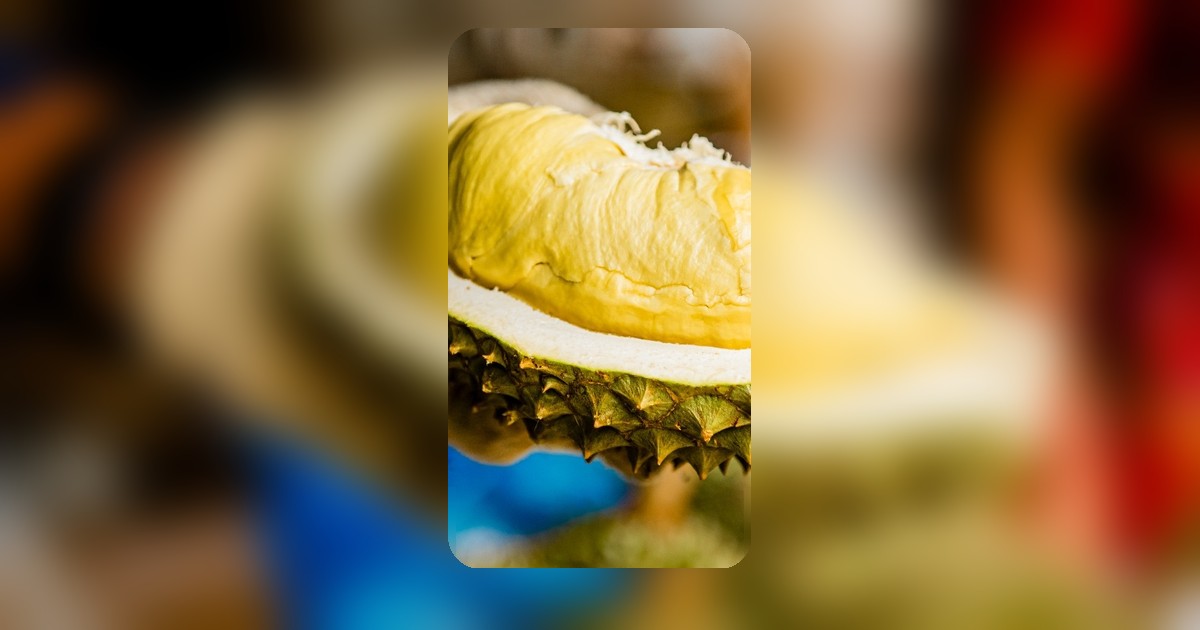 ทุเรียนพูละ 5 บาท ที่ลำปาง สวนกระแสราคาแพง คนรักทุเรียนงบน้อยแห่ซื้อ