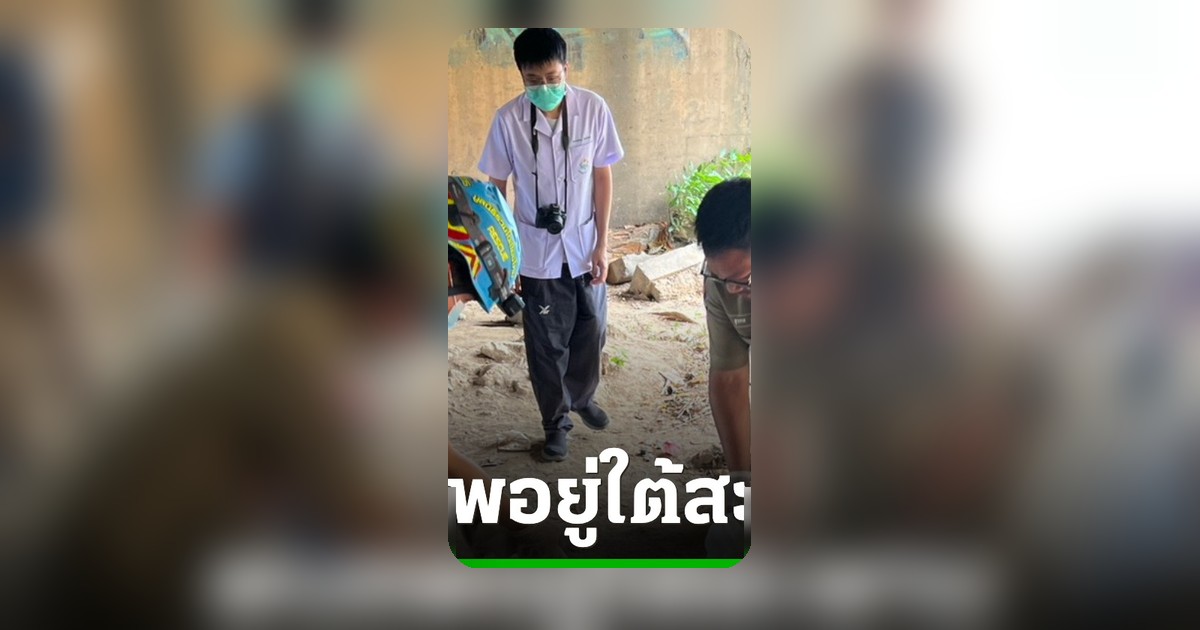 พบศพชายวัย 51 ปี ใต้สะพานเชียงใหม่ ถูกฆ่าแทงคอแล้วเผาอำพราง กู้ภัยรุดตรวจสอบ