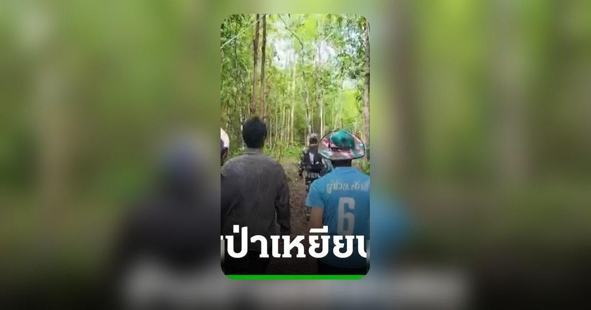 ช้างป่าภูวัวเหยียบหญิงวัย 39 ดับสยอง ขณะหาเห็ดในเขตป่าสงวน