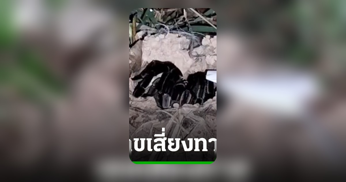 คอหวยแห่ขอเลขเด็ดจากพญาบึ้ง ปราจีนบุรี งวด 2/5/69