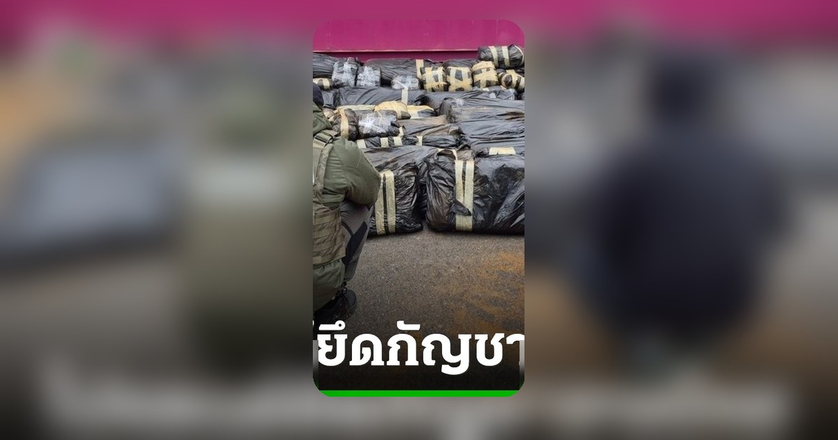 โปแลนด์-เยอรมนี ยึดกัญชากว่าตัน ซุกอิฐจากไทย