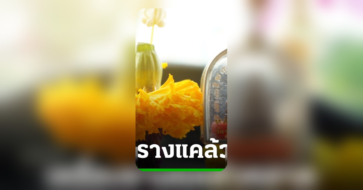 มูเตลูยุคใหม่: 4 เครื่องรางแคล้วคลาด และวิธีไหว้แม่ย่านางรถ เสริมดวงปี 2569