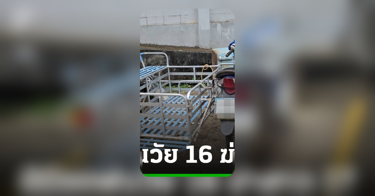 แฟนหนุ่ม 16 ปี รับสารภาพ ฆ่าสาวผมแดง 17 ปี หมกถังขยะระยอง ปม 'หึงหวง'