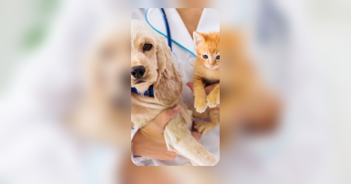 Pet Economy ไทยยุคใหม่ ยกระดับดูแลสัตว์เลี้ยงถึงระดับเซลล์ ลงทุนเพื่อชีวิตระยะยาว