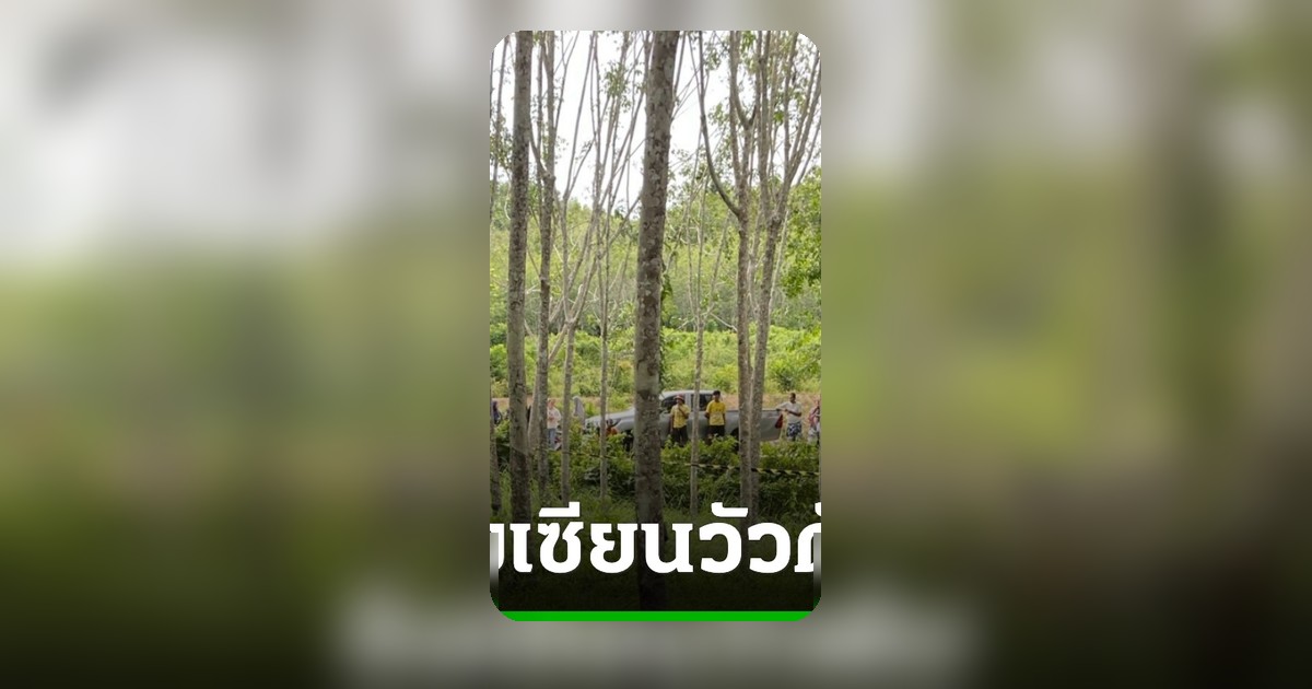 พบศพเซียนวัวถูกยิงในสวนยางสงขลา เพื่อนสนิทถูกกล่าวหา