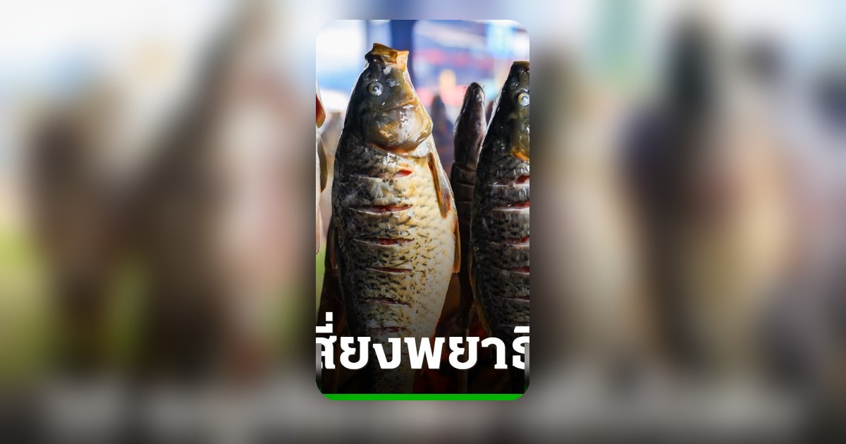สธ.เตือน 10 เมนูเสี่ยง 'พยาธิใบไม้ตับ' กินไม่สุกอันตรายถึงชีวิต