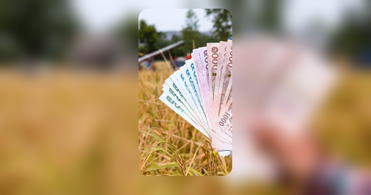 เปิดแผนพักหนี้เกษตรกร รัฐบาลลุยพักทั้งเงินต้นดอกเบี้ย ระบุวงเงินไม่เกิน 5 แสนบาท
