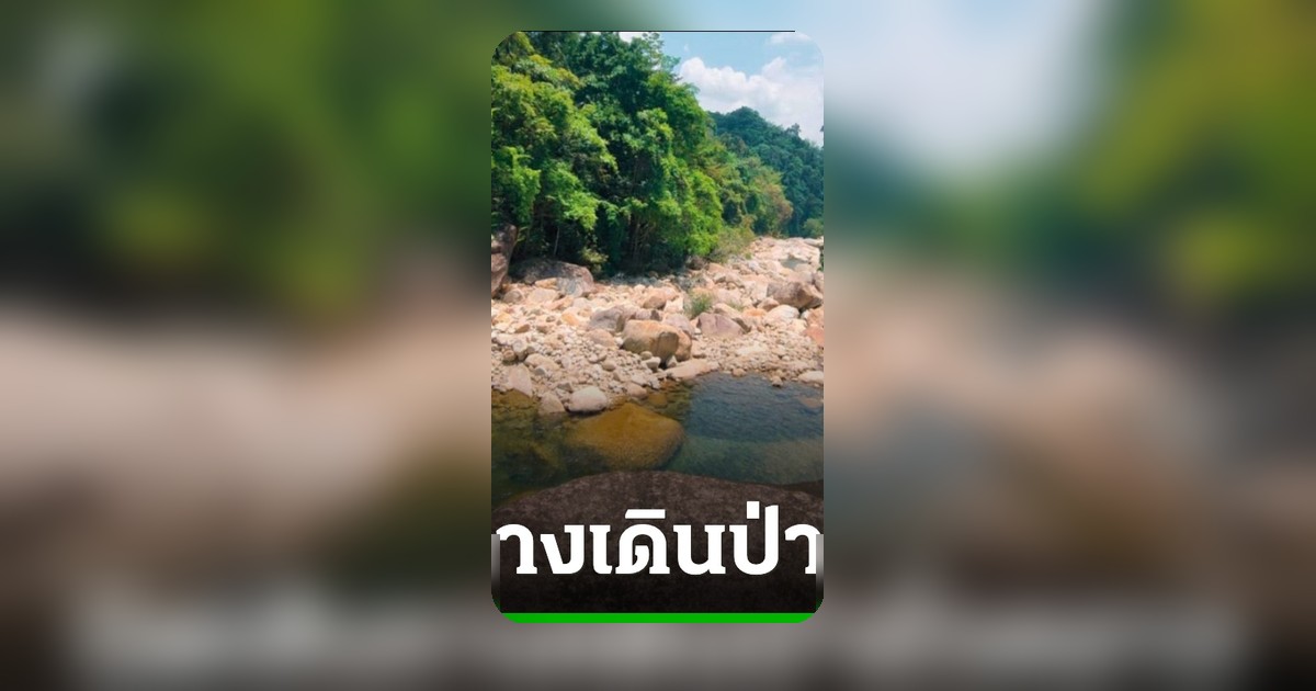 ประกาศปิด 5 เส้นทางเดินป่าเขาบรรทัดชั่วคราว ทบทวนมาตรการความปลอดภัย