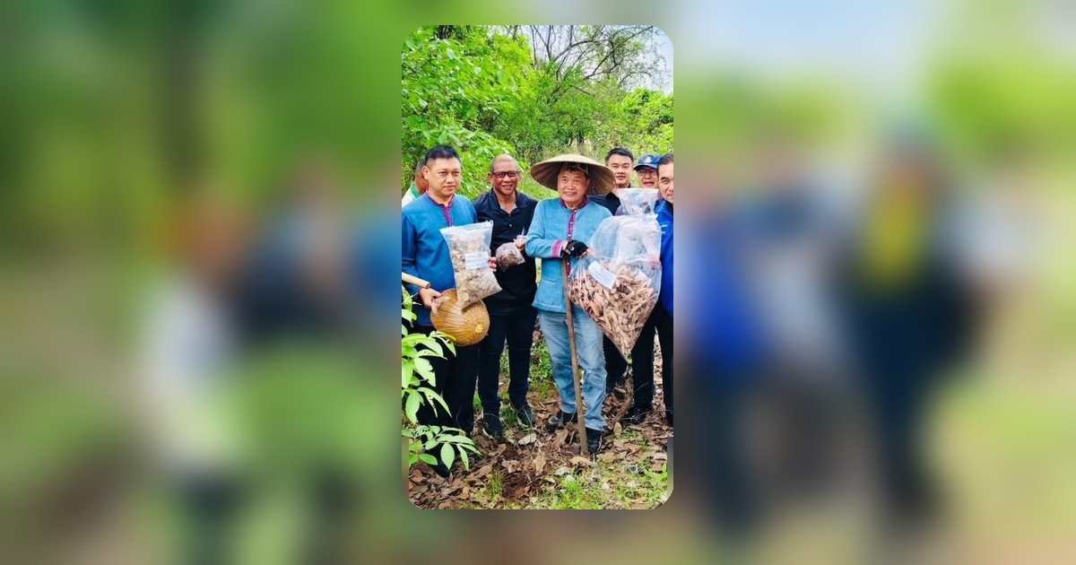 อดีตปลัด มท. ผนึกกำลังชมรมคนรักเขาขยาย ปลูกป่าด้วยเมล็ด 100,000 เมล็ด