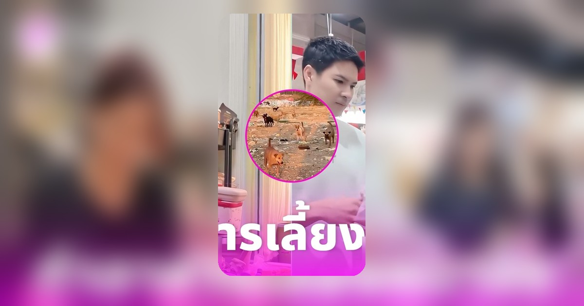 ปุ๊กลุก ฝนทิพย์ ลงมือทำอาหารเอง เลี้ยงหมาจรจัด พร้อมไมค์ช่วยเหลือคุณป้า